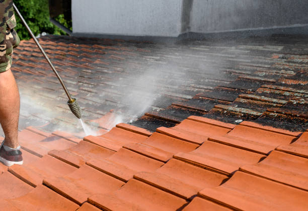 Best Affordable Power Washing  in Zephyrhills North, FL