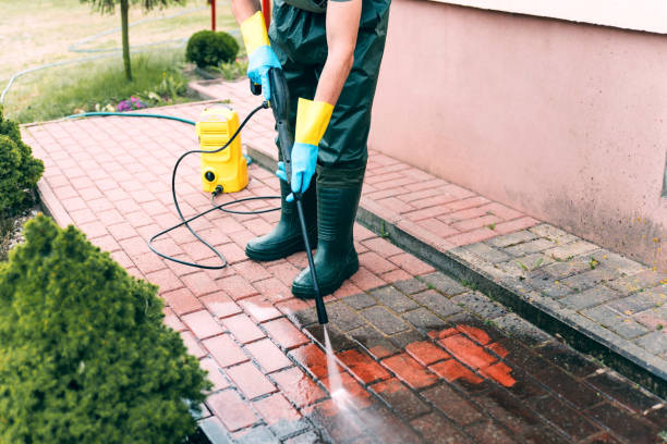 Pressure Washing Brick in Zephyrhills North, FL