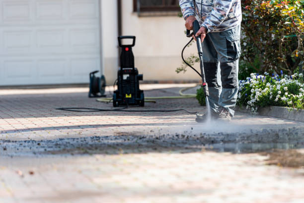 Best Roof Pressure Washing  in Zephyrhills North, FL