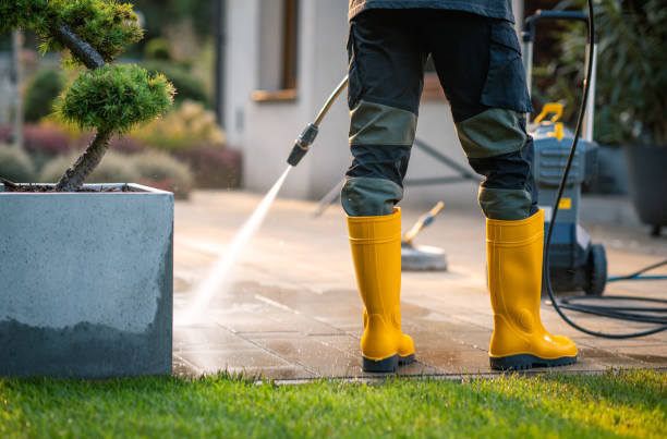 Best Local Pressure Washing Services  in Zephyrhills North, FL